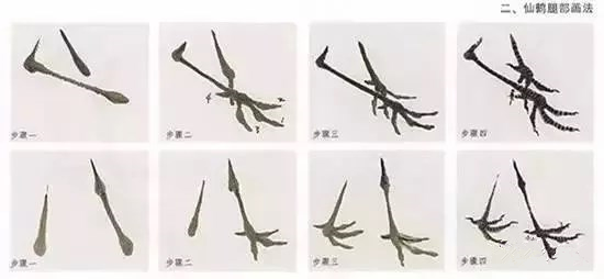 国画仙鹤腿部绘画技法