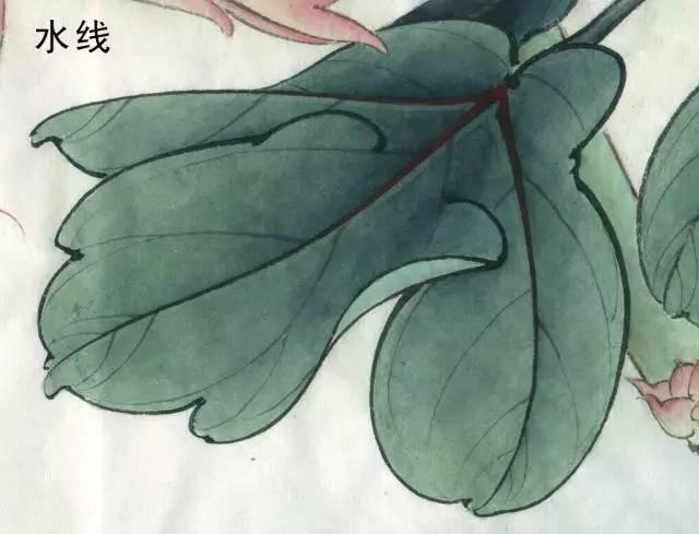 国画工笔花鸟画手法技巧-水线
