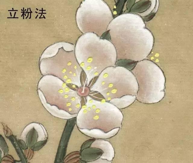 国画工笔花鸟画手法技巧-立粉法