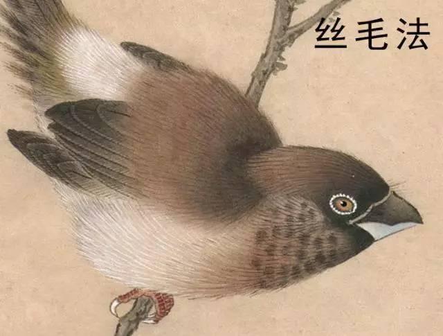 国画工笔花鸟画手法技巧-丝毛法