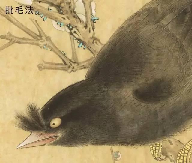 国画工笔花鸟画手法技巧-批毛法