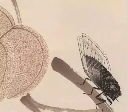 齐白石画的蝉局部图1