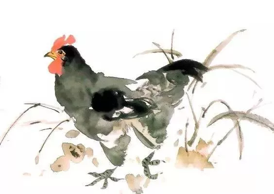 国画入门-国画母鸡画法