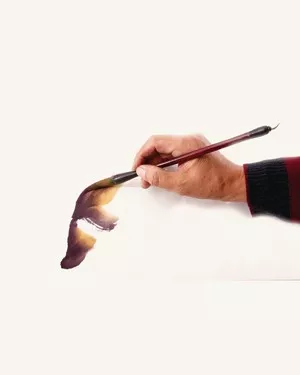画家冯增木写意金鱼画法图7-1