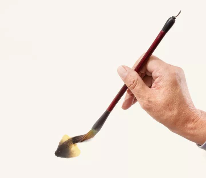 画家冯增木写意金鱼画法图11