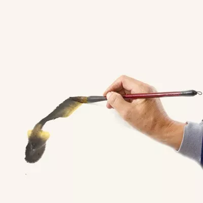 画家冯增木写意金鱼画法图13