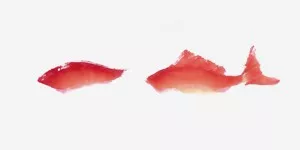画家冯增木写意金鱼画法图29