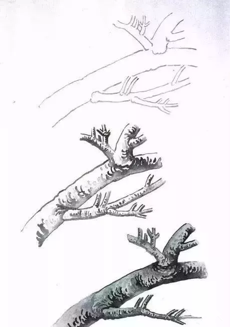 工笔梅花