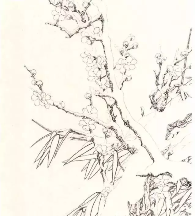 工笔梅花