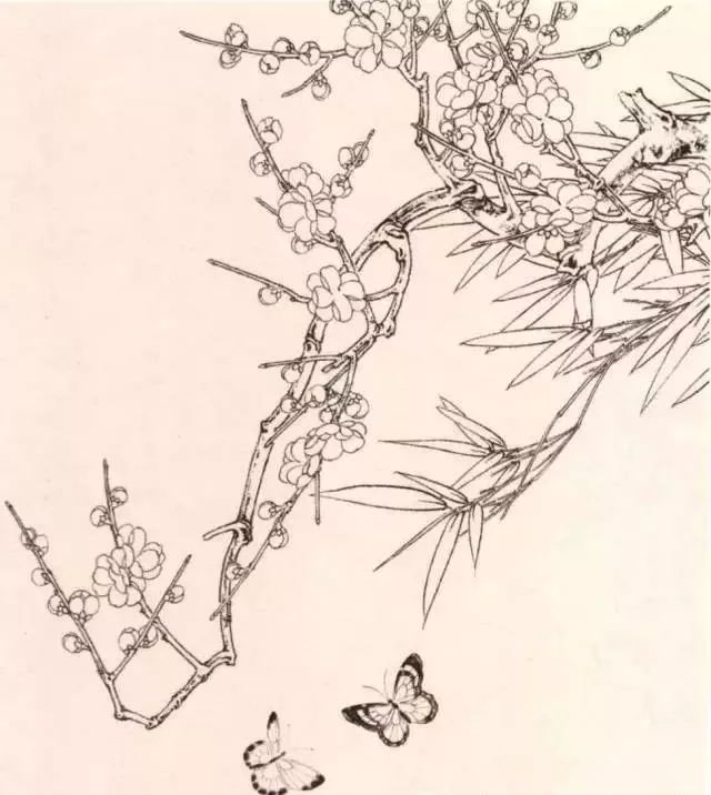 工笔梅花