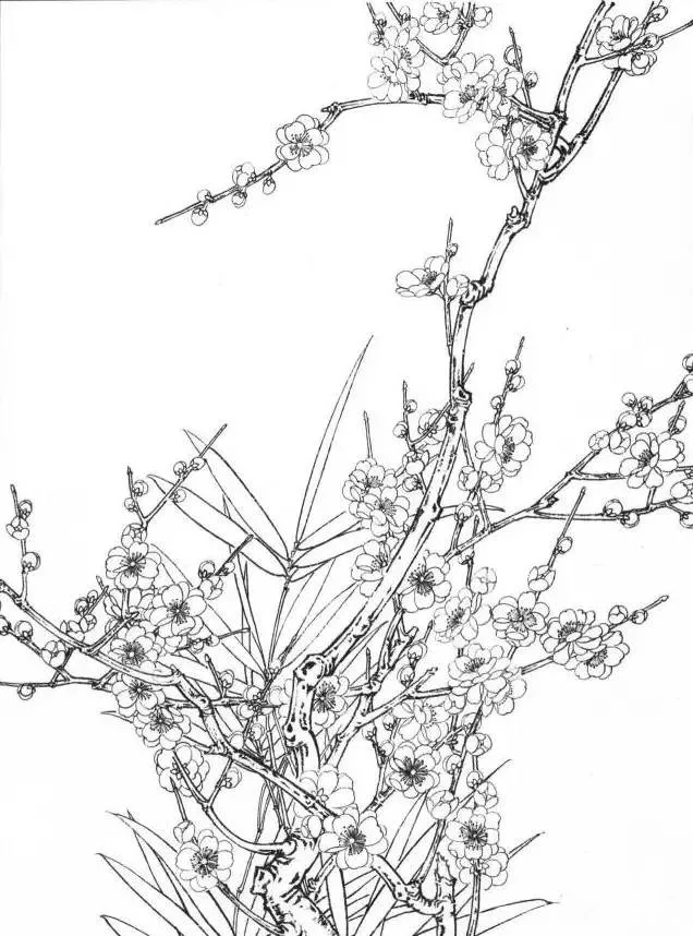 工笔梅花