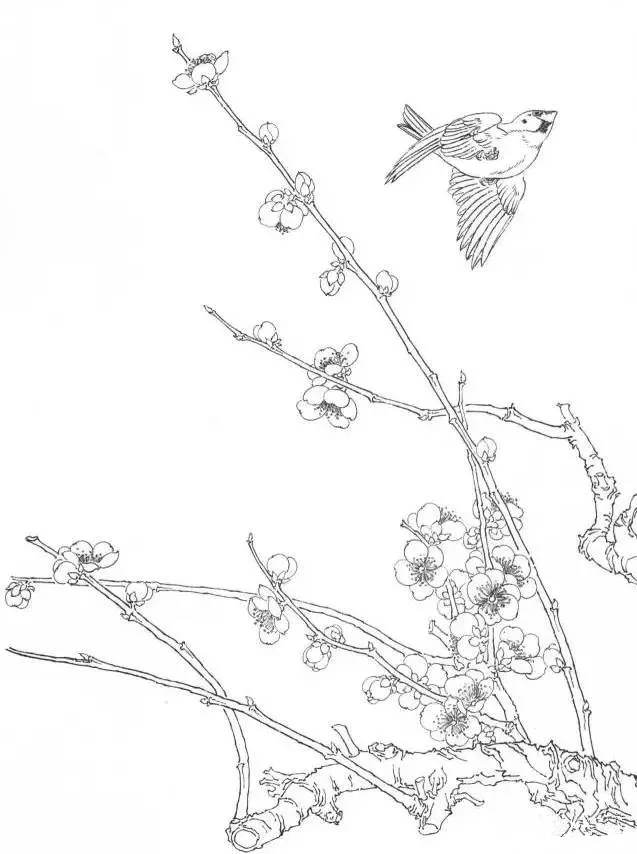 工笔梅花