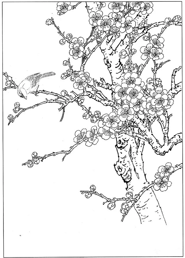 工笔梅花