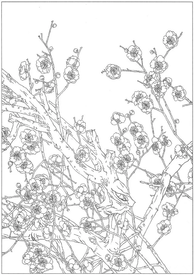 工笔梅花