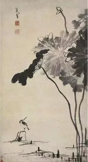 国画大师八大山人 荷花作品欣赏