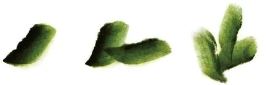 国画柿子的画法2