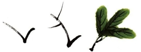国画柿子的画法3