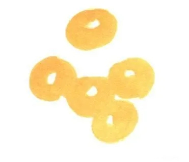 国画枇杷的画法1